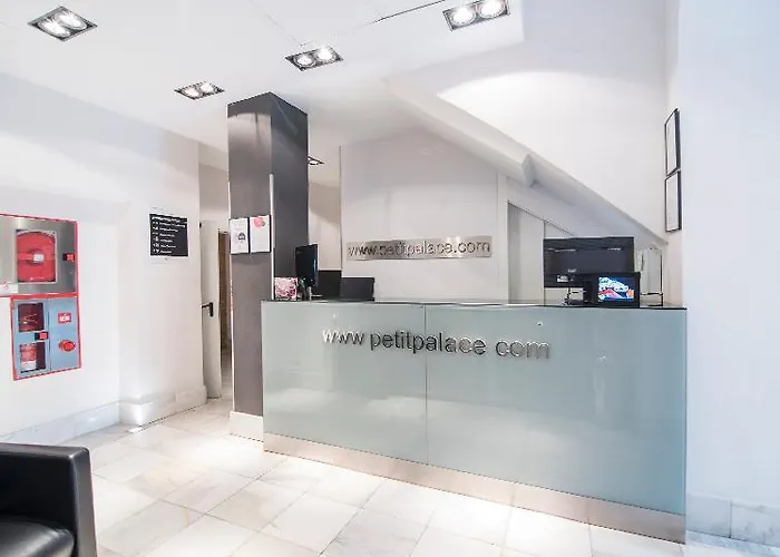 Hotel Petit Palace Canalejas 2*